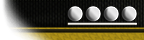 Fleet Captain insignia