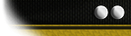 Lieutenant insignia